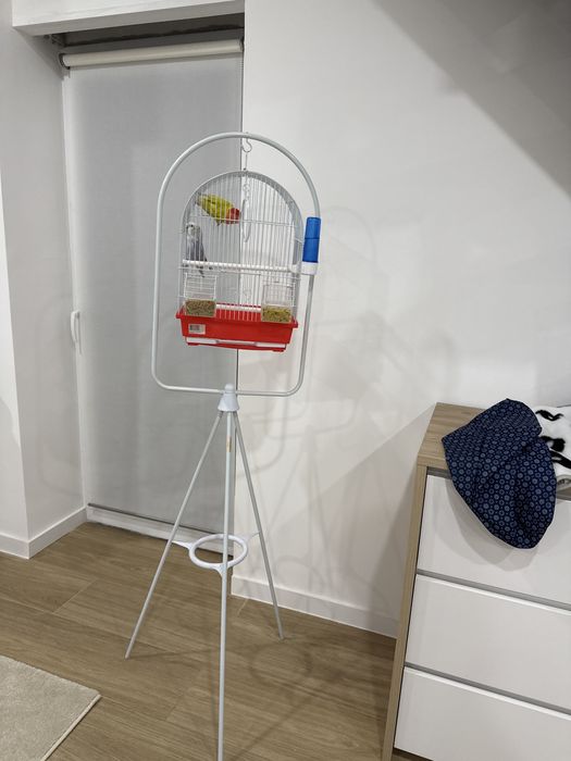 Gaiola passaros como nova