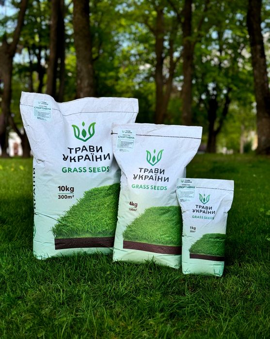 Насіння газону/ Газонна трава/ Трави України/ Газон
