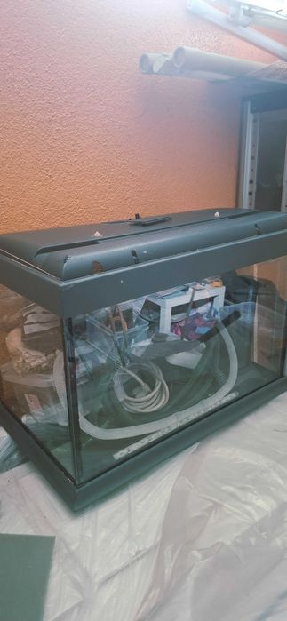 Aquário 60 Litros + mais bomba (Eheim), Temostáto, Acessórios e Decorações