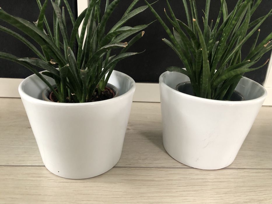 Doniczki ceramiczne nowe