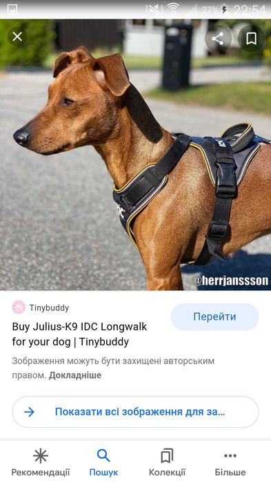 Julius k9 long walk. Rac шлея тренувальна для собак