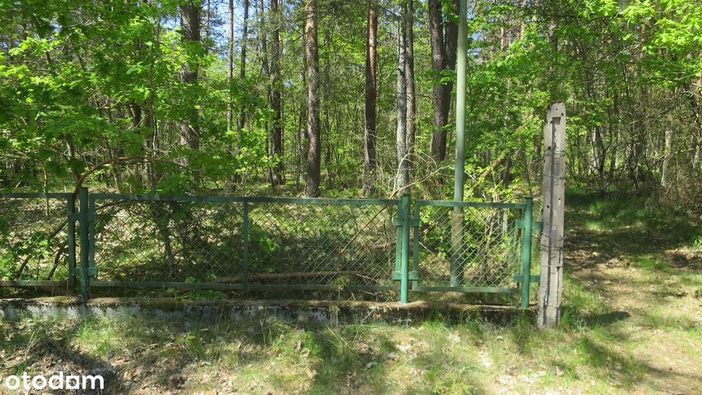 sprzedam działkę rekreacyjną nad jeziorem Jasień
