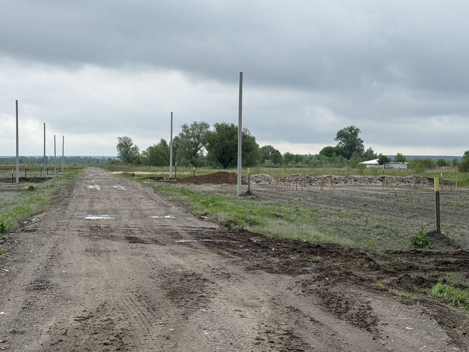Зазимя,8сот. новий масив біля Десни, асфальт,світло,сусіди