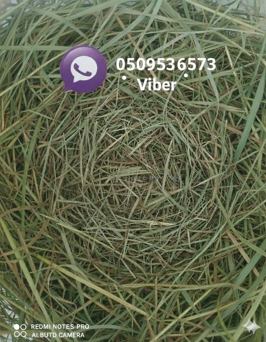 Лугове сіно для морських свинок та кроликів (7 кг)