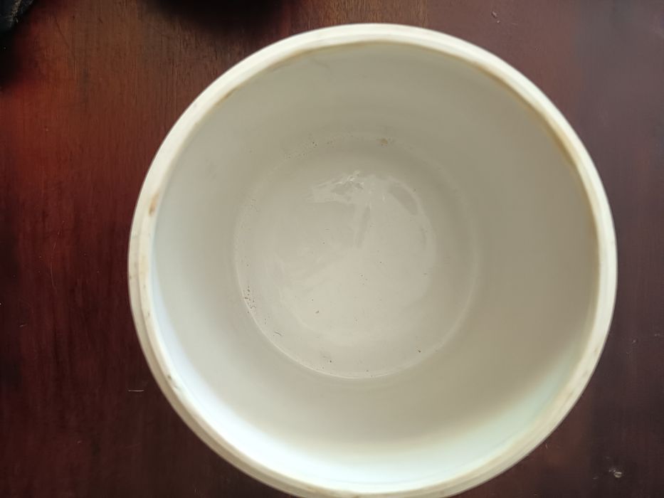 Pote Porcelana Estilo Dinastia Ming