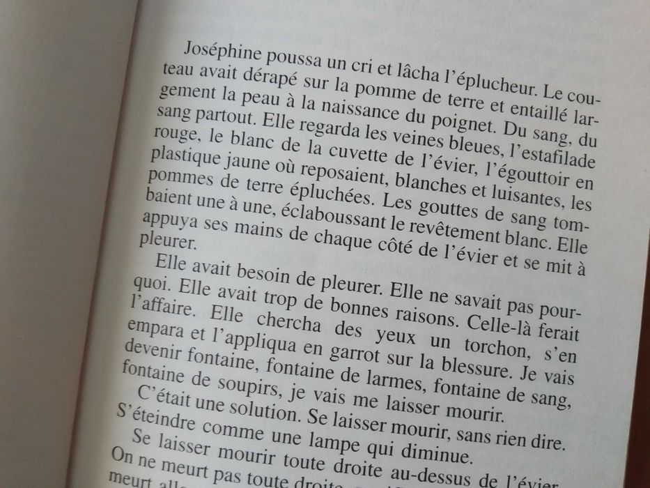 (PORTES GRÁTIS) Les Yeux Jaunes des Crocodiles - Katherine Pancol