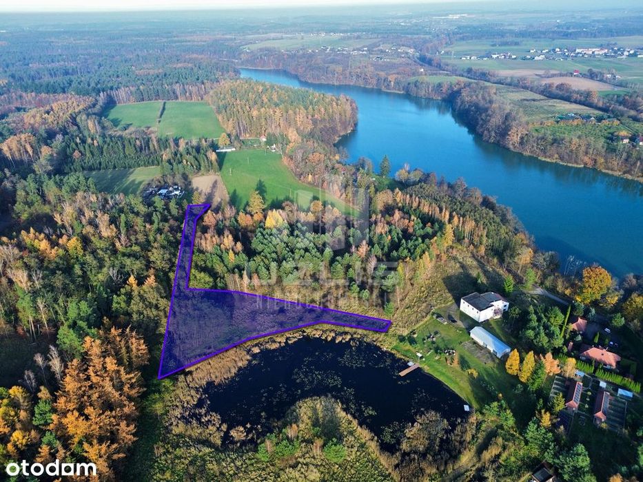Działka 5000 m² | Widok na wodę | Las - View 2