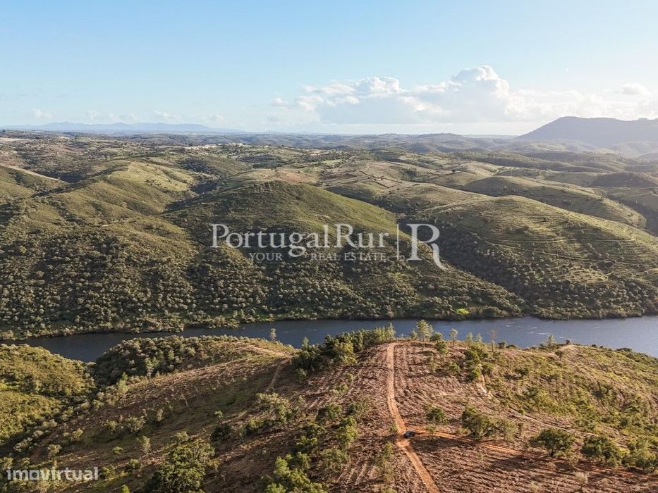 Herdade Florestal com 66ha confinante com o Rio Tejo