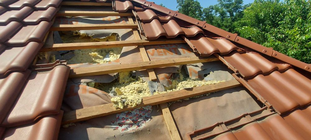 Kuna na poddaszu pastuch i naprawa dachu pomoc ubezpieczenie Katowice
