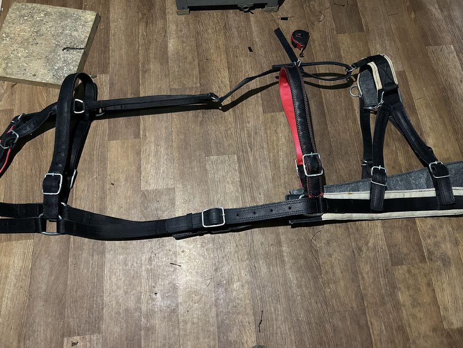 Упряж для коня,шлея