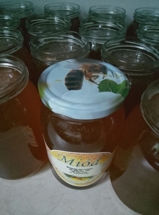 Propolis naturalny,pszczeli 100 ml. miód