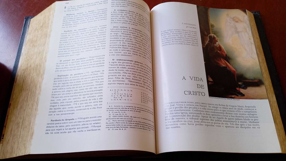 Bíblia Sagrada Nova Edição Papal