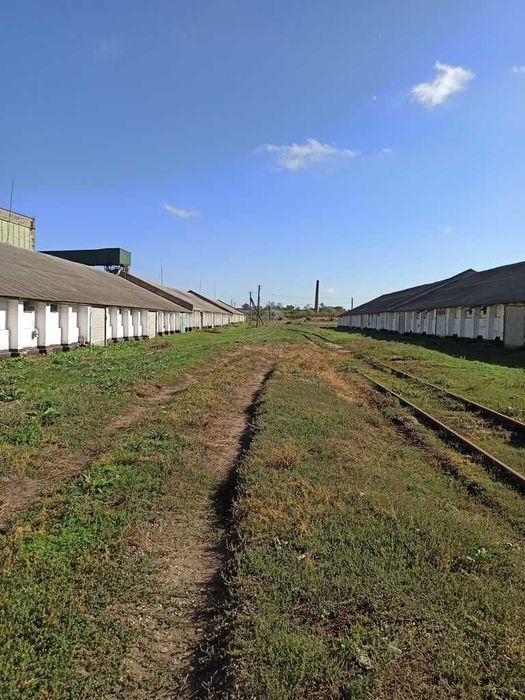 Продаж ЕЛЕВАТОРУ від ВЛАСНИКА Кіровоградська обл, м. Помічна