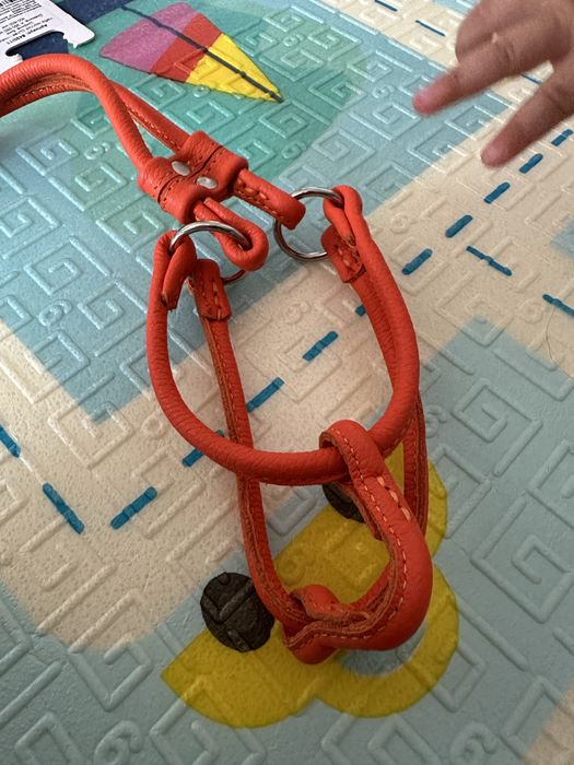 Повідець (поводок) шлєя для маленької собаки