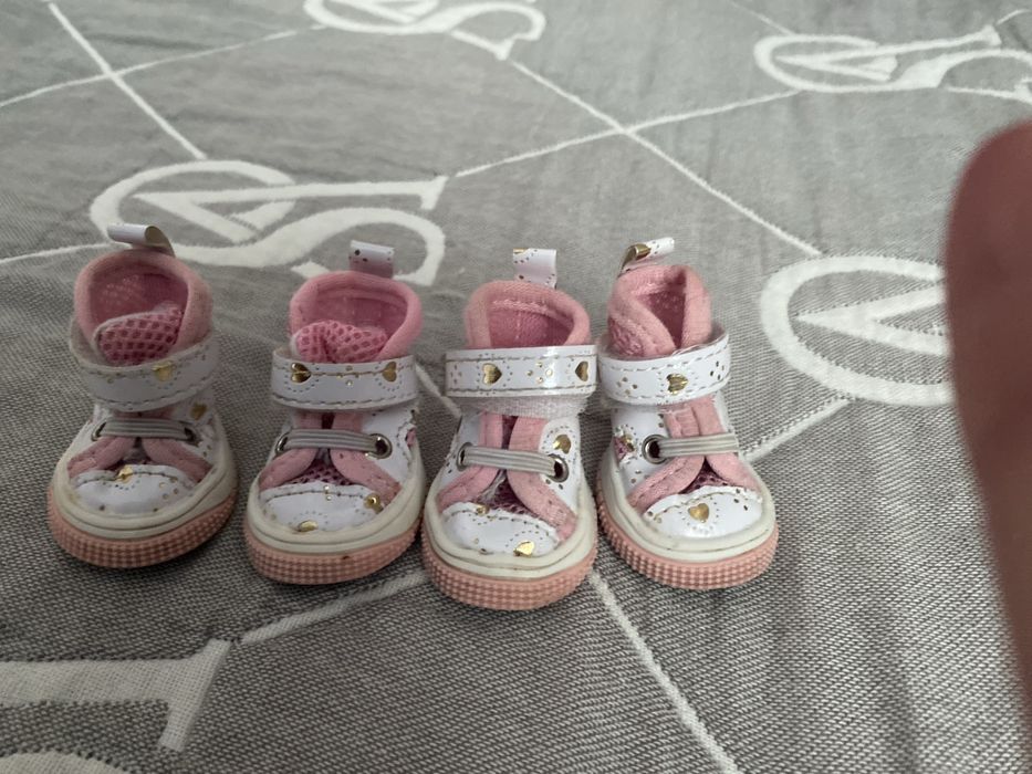 Продам супер кросівки для песика