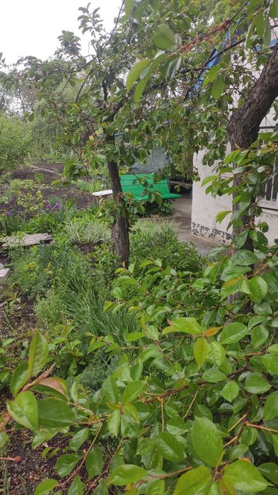 Відпочинок на природі Беседка Альтанка подобово Садок Дача Мангал