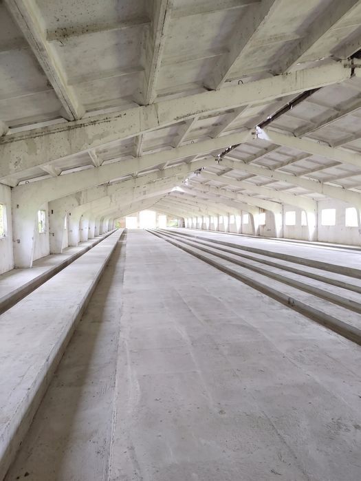 Продаж комплексу 30 000 м², Чернігівська обл.: ферма / склад / виробництво