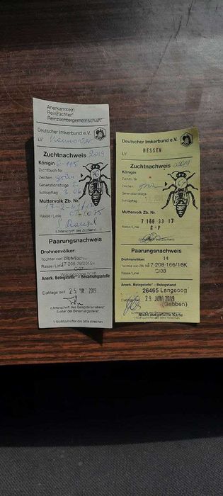 Матки Краніка плідні