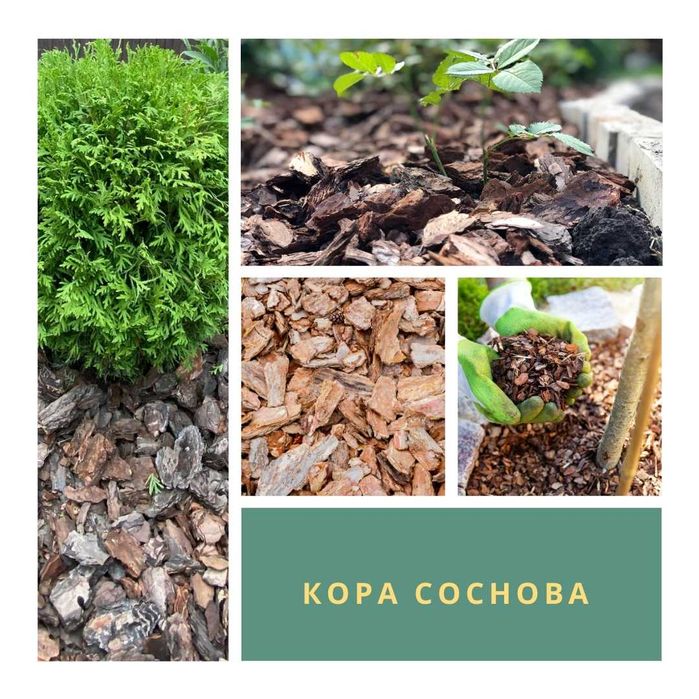 Соснова кора ВСІ Фракціі В Наявності ( Роздріб) АКЦІЯ на дрібну