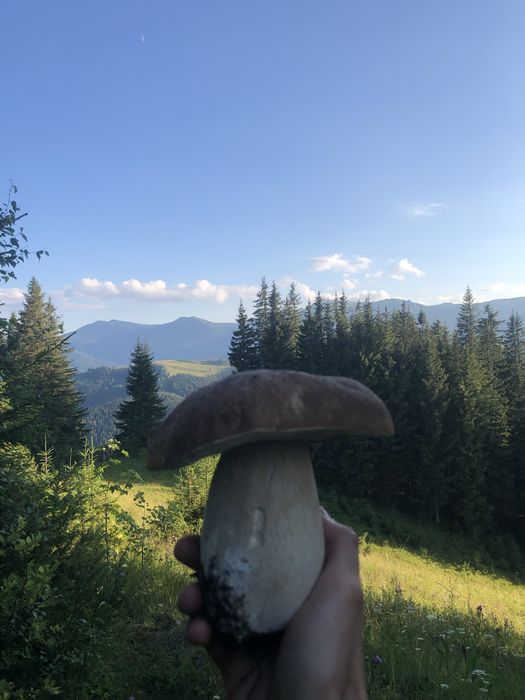 Карпати , різні ВАРІАНТИ ЗЕМЛІ