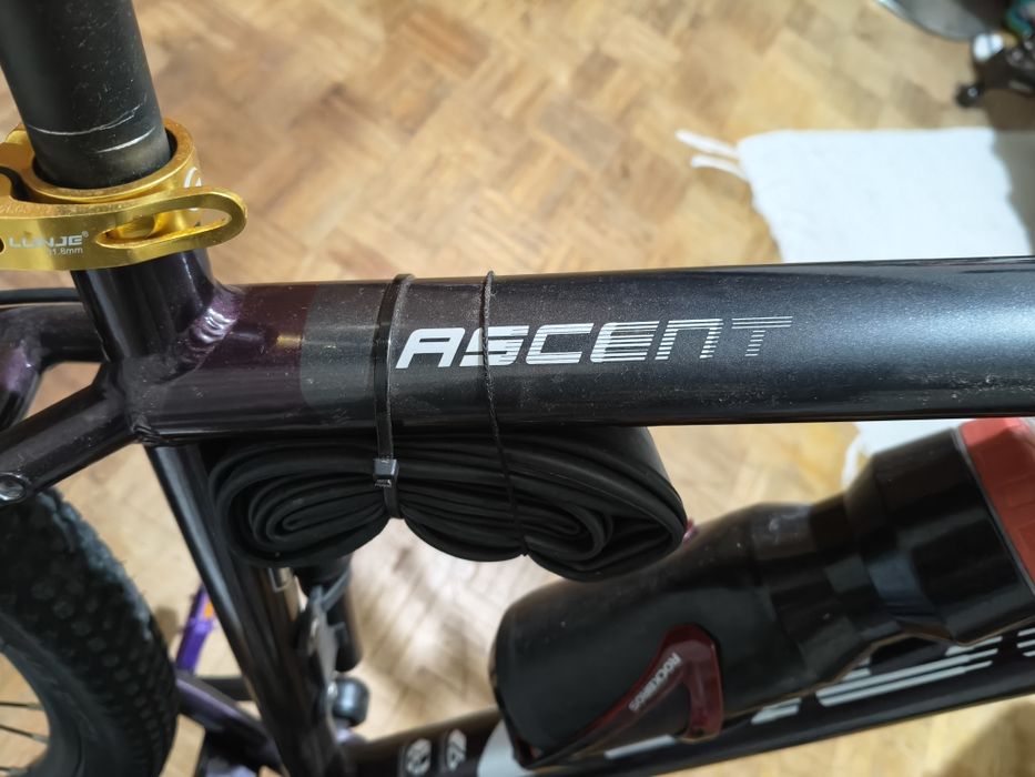 Coluer Bicicleta de MTB Ascent 294 29´´ Altus 2025