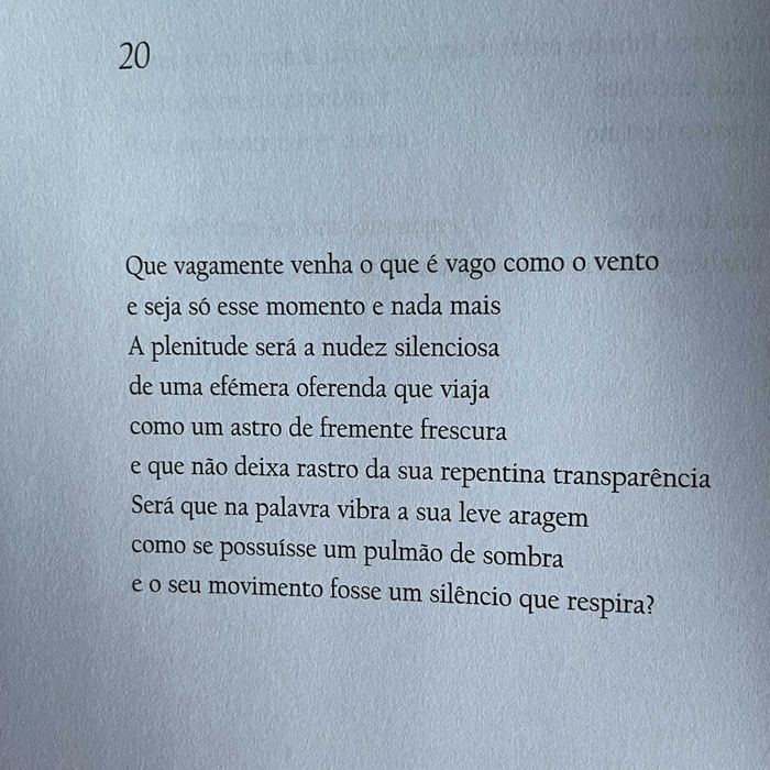 António Ramos Rosa / Robert Bréchon - Meditações Metapoéticas / Méditations Metapoétiques (1.ª edição, 2003)