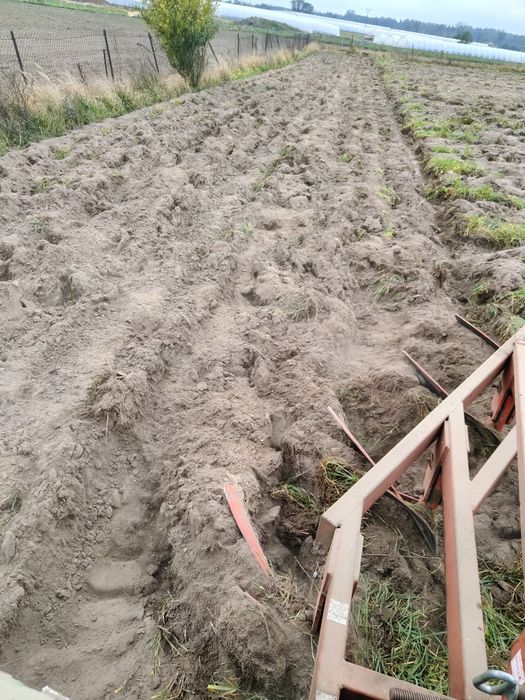 Pługi Akpil 35 zagonowy 4 skiby