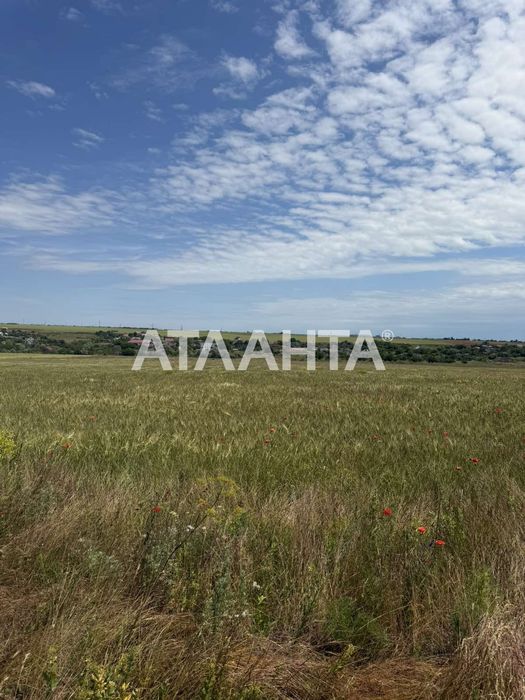Ділянка у с. Великий Дальник/Одеський район