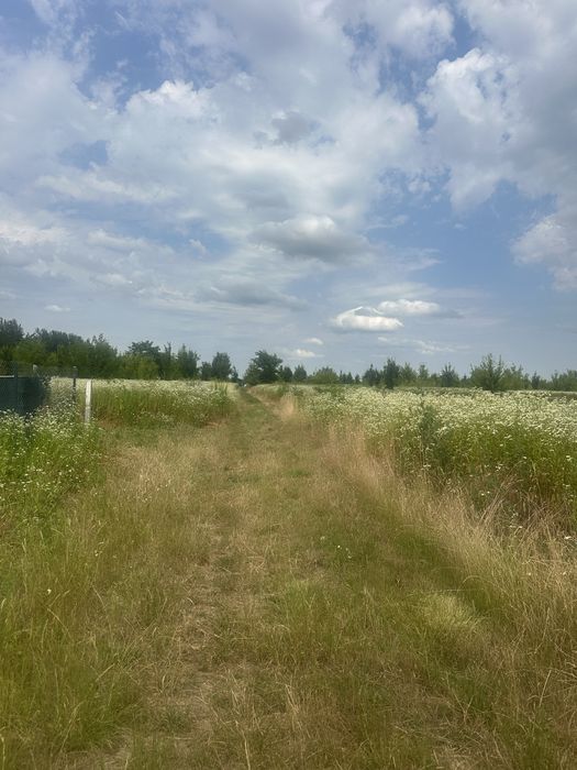 Продам земельну ділянку в Бохониках