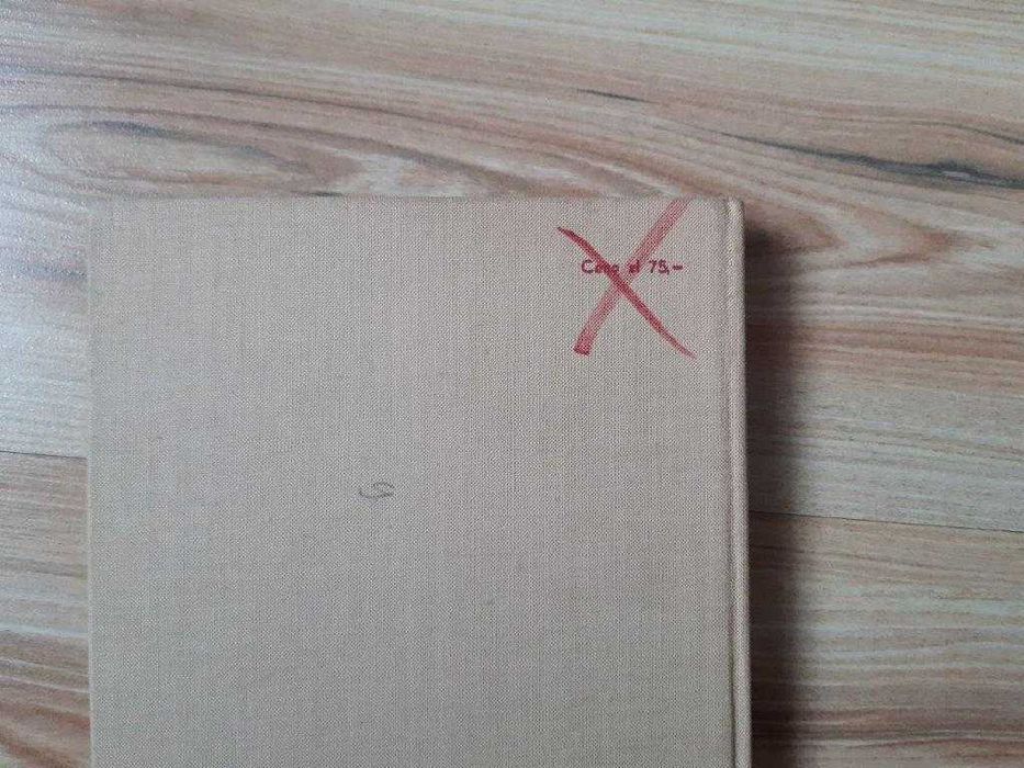 Sztuka 1 połowy XVIII w.; Rokoko Studia nad sztuką