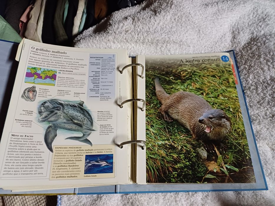 Enciclopédia  Mundo Animal