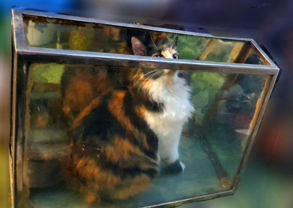 Продаю аквариум с металлическим каркасом 30л.