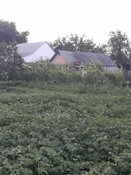Продаж земельної  ділянки  під забудову в с. Слобода, пров. Садовий