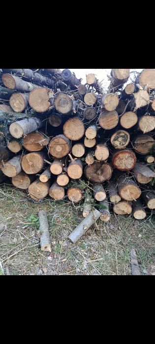 Drewno opałowe jodła kaukaska