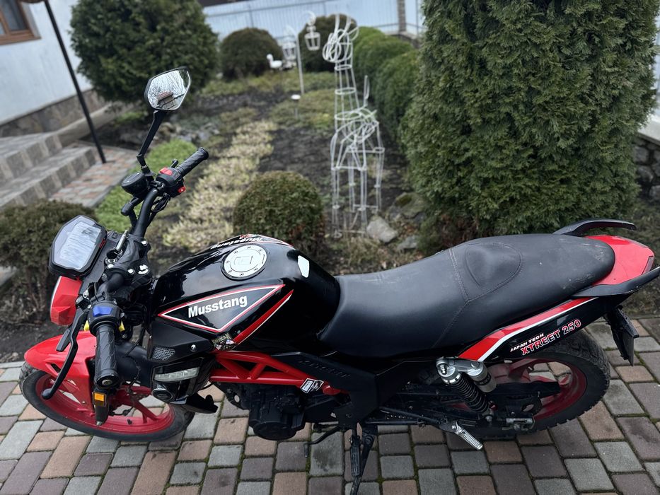 Musstang Xtreet 250