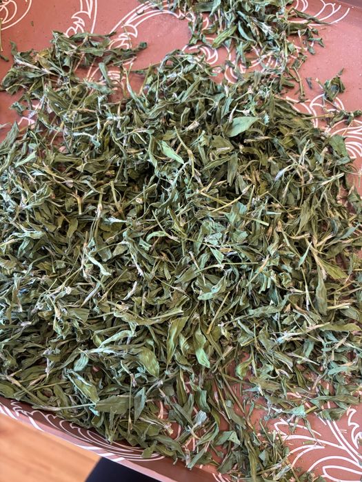 Rdest ptasi suszony 50 g
