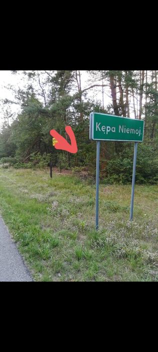 Sprzedam działkę leśna