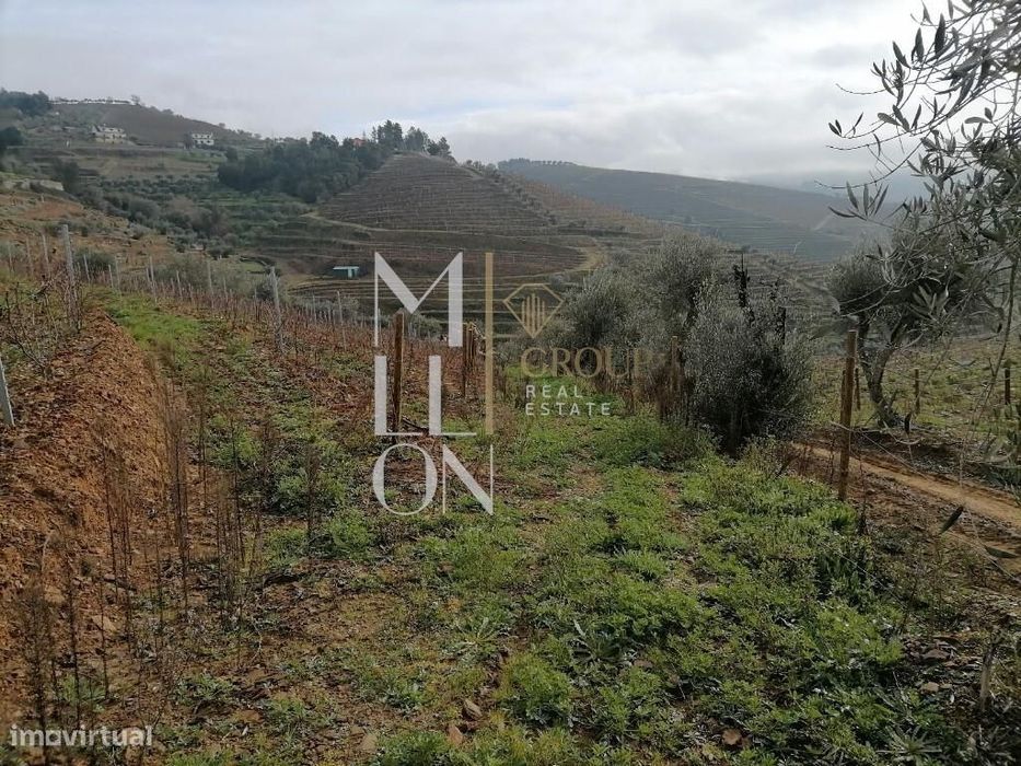 Encantadora Quinta com cerca de 3 Hectares de Tradição e Beleza Natura