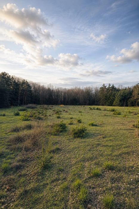 Działki budowlane Żdżary