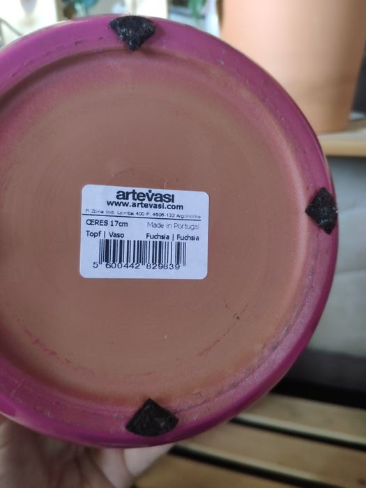 Vaso rosa fúcsia