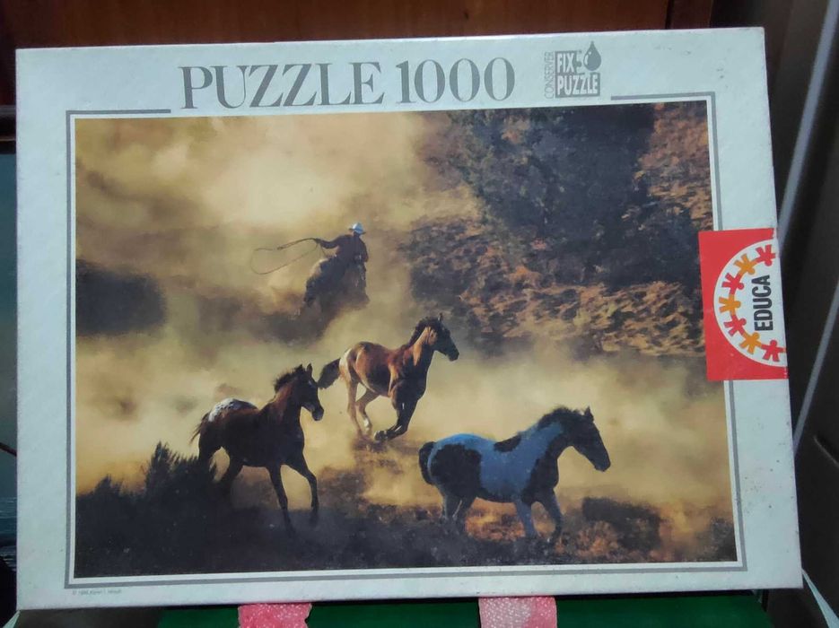 Puzzles Variados