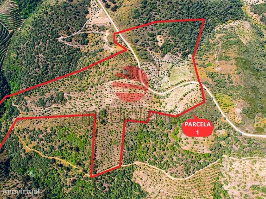 Quinta