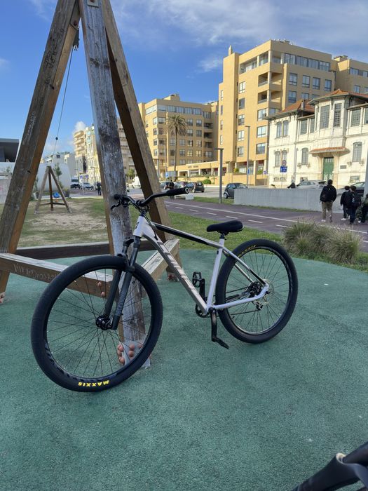 Coluer Pragma 297- Wheelie