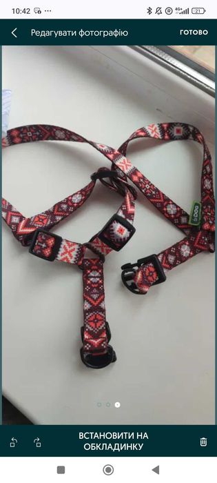 Шлейка/нашийник для собачки+ подарунок