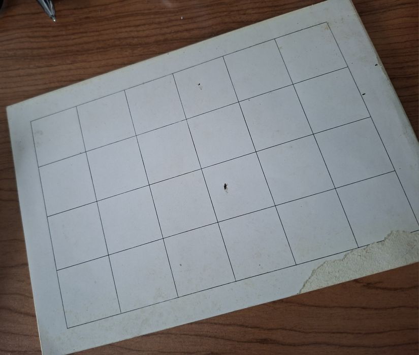 A Ilha do Pico e a Paisagem dos Muros Negros