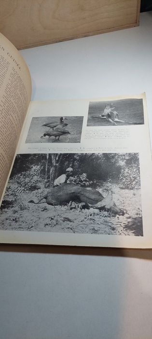 Revista Turismo - Número Dedicado à Guiné Portuguesa (1956)