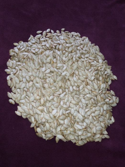 Семена тыквы гарбуза 400 гр.