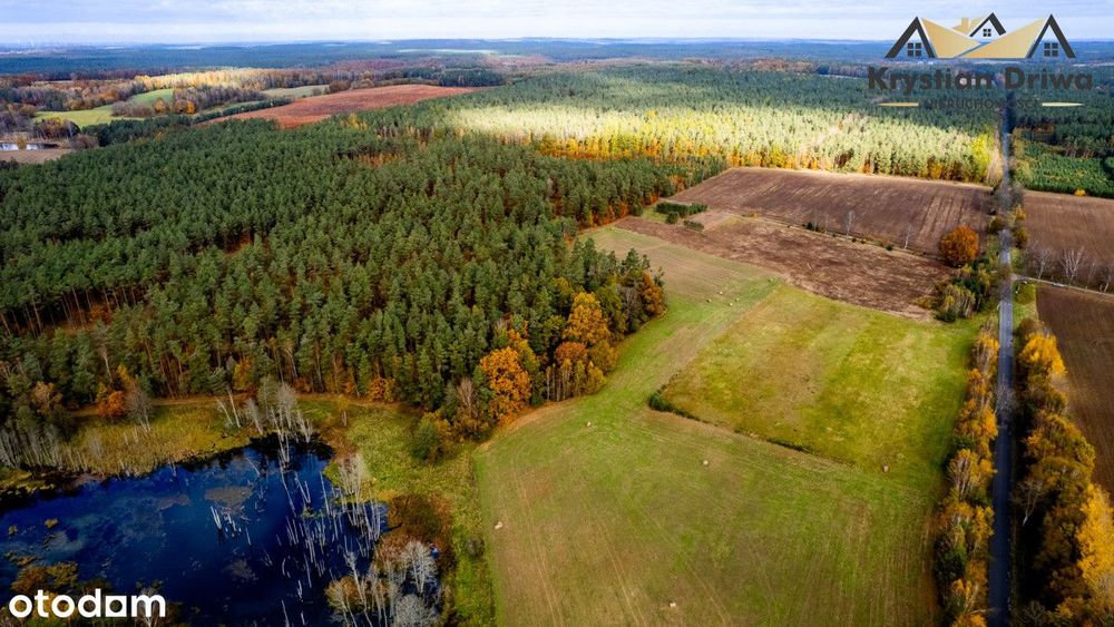 Działka z planem miejscowym - możliwość podziału!
