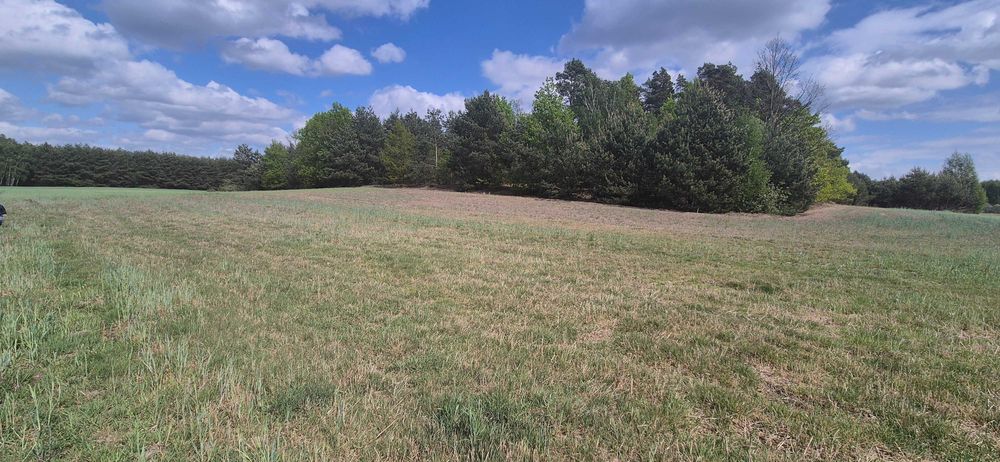 Działka budowlana 1330m2 Stary Witoszyn