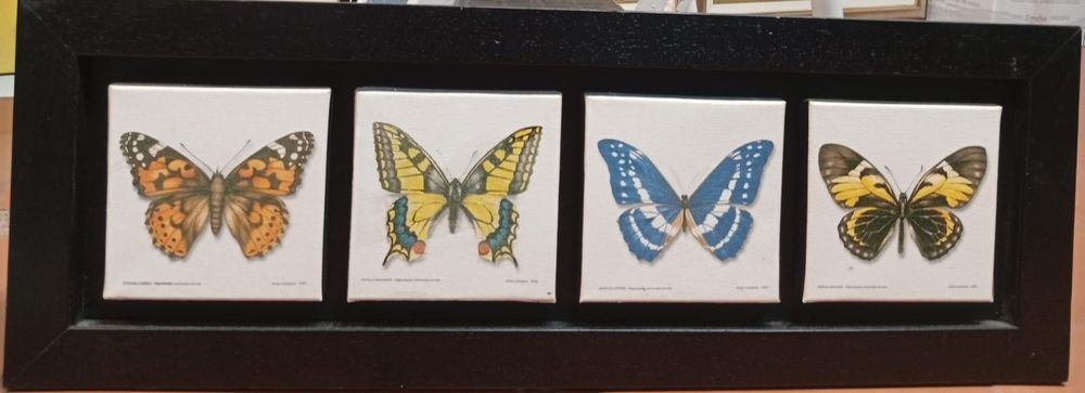 Coleção de quadros